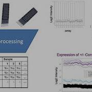 PM579 Microarray Gene Expression Data
