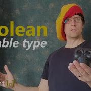Boolean Variable Type In DataFlex