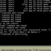 03 Unix Shell Scripting Tutorial Running A Shell Script Part 3