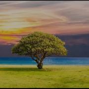 NewProgressive Mix Pt 24 Melodic Progressive Mix