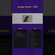 Image Hover Effect In Html And Css Html5 Css3 Js Javascript Webdesign Ui Frontend