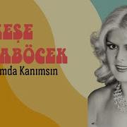 Neşe Karaböcek Damarımda Kanımsın I Yıldızların Altında 2007 Kalan Müzik