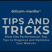 Slow Site Performance Top Tips To Diagnose And Optimize Your Website