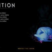 Rain World Hunter Gatherer Speedrun