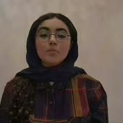 Persian Morphology And Syntax Assignment