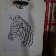 Polargraph Drawing Of A Zebra
