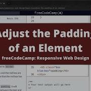 Adjust The Padding Of An Element Basic CSS FreeCodeCamp Tutorial