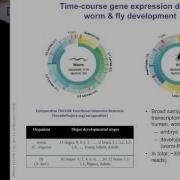 Mark B Gerstein PhD Transcriptome Analysis