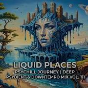 Liquid Places Psychill Journey Deep Psybient Downtempo Mix Vol 111