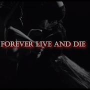 OMD Orchestral Manoeuvres In The Dark Forever Live And Die Lyrics