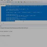 Legal Age Checker Using Ternary Operator In Java