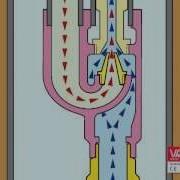 VALCO Conva Deep Well Packer Jet Selfpriming Electric Pump Twin Pipe Installation