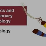 Genetics And Evolutionary Psychology Psychology