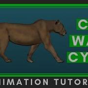 Cat Walk Cycle Animation Tutorial Step By Step