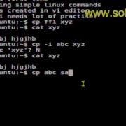 How To Copy Files In Bash