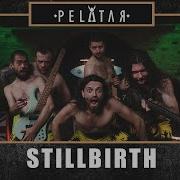 Stillbirth PELATAR LIVE