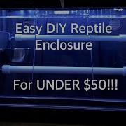 Easy DIY Green Tree Python Amazon Tree Boa Enclosure Step By Step HOW TO For UNDER 50