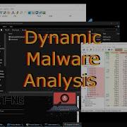 Malware Analysis Dynamic Analysis Live Demo