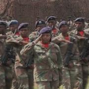 Change Of Command Parade Of Chief SA Army