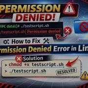 Linux Bash Error Permission Denied When Running Script Quick Fix SOLVED