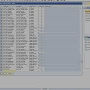 WORKING WITH USER DEFINED FIELDS IN SAP BUSINESS ONE
