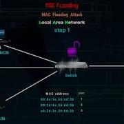 Mac Flooding Mac Cloning Attacks Lecture 86
