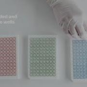 Microblot Array Testline