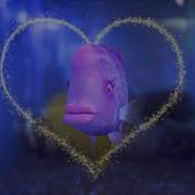SpongeBob Music Theme For Two Lovers