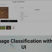 Image Classification With UI End To End Image Classification Example PyTorch Python