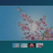 Image Gallery With Thumbnail Using Vanilla Javascript