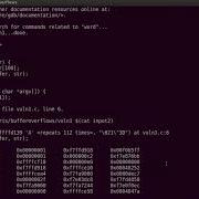 Buffer Overflow Demo 1 Application Crash Segmentation Fault