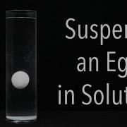 Floating Egg In Water Experiment Chemistry