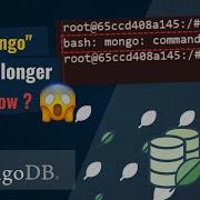 Solution Bash Mongo Command Not Found In Docker