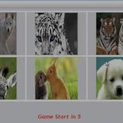 Picture Matching Game In Java