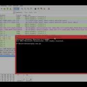 How To Ping Packets Into Wireshark