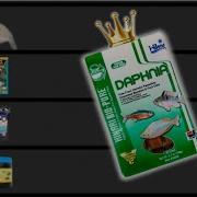 The Best Aquarium Fish Food And What You Should Stop Buying
