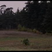 Monty Python How Not To Be Seen