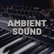 Sequential Trigon 6 Ambient Sound Synthesizer Demo No Talking