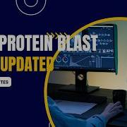 Учебное пособие по использованию Protein BLAST от NCBI Обновленное руководство 2026 года Поиск