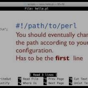 Making A Perl Script Executable The She Bang And Chmod