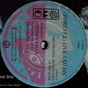 Orchestral Manoeuvres In The Dark Forever Live And Die HQ Audio OMD