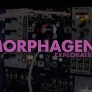 Make Noise Morphagene Explorations