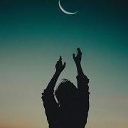Azaleh Moonlight