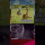 The Friday 4 55 PM Feeling Funny Memes Trending Coding Programming Fyp