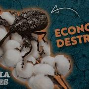 How The Boll Weevil And Drought Nearly Destroyed Georgia S Economy