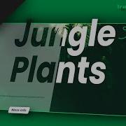 How To Make A CSS Transparent Text Ft Mix Blend Mode Part 1