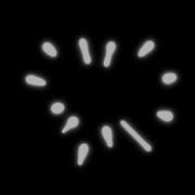 Orb Draw By OpenFrameworks