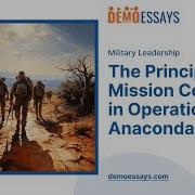 The Principles Of Mission Command In Operation Anaconda Essay Example