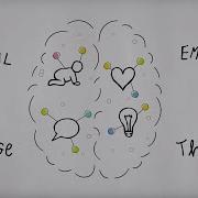 Baby Brain Growth And Development