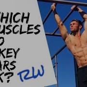 What Muscles Do Monkey Bars Work